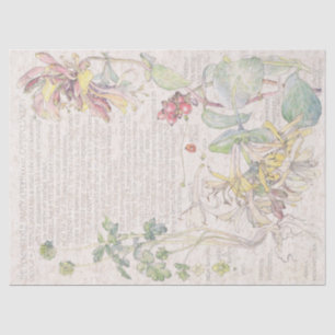Papier Mousseline Le fleur sauvage de chèvrefeuille fleurit le