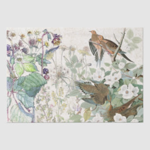 Papier Mousseline Le fleur sauvage d'oiseaux de colombe d'Audubon