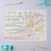 Papier Mousseline Le fleur sauvage sauvage de tulipe fleurit le (Artisanat)