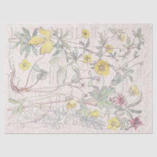Papier Mousseline Le fleur sauvage vintage de Cinquefoil fleurit le