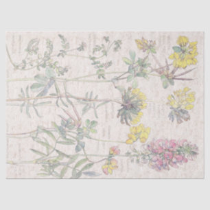 Papier Mousseline Le fleur sauvage vintage de pied-d'oiseau fleurit