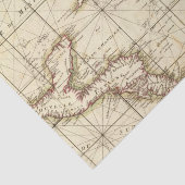 Papier Mousseline Le Golfe du Mexique (Détail)