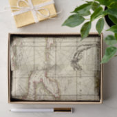 Papier Mousseline Le Golfe du Mexique (Cadeau)