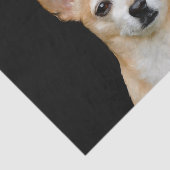 Papier Mousseline Le joli Chihuahua Dog Beige Tan Black Portrait (Détail)