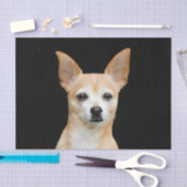 Papier Mousseline Le joli Chihuahua Dog Beige Tan Black Portrait (Artisanat)