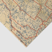 Papier Mousseline Le Maine 18 (Détail)