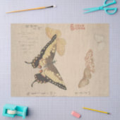 Papier Mousseline Le manuel de peinture volée de papillons, Shunman (Artisanat)