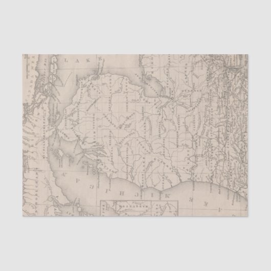 Papier Mousseline Le Michigan 9 (Recto)