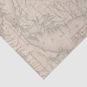 Papier Mousseline Le Michigan 9 (Détail)