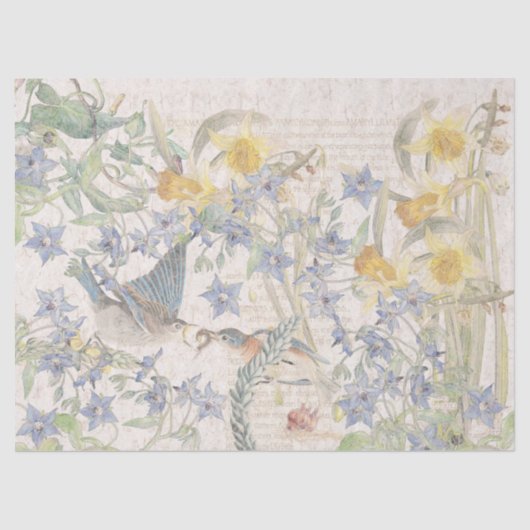 Papier Mousseline Le narcisse d'oiseaux d'oiseau bleu fleurit le (Recto)
