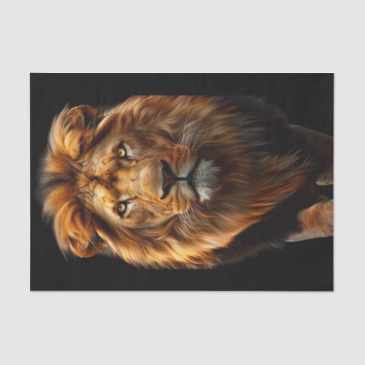 Papier Mousseline Le nouveau roi de la jungle1 (Recto)