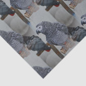 Papier Mousseline Le perroquet gris du Congo en miroir (Détail)