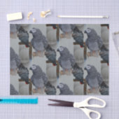 Papier Mousseline Le perroquet gris du Congo en miroir (Artisanat)