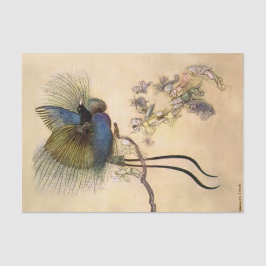 Papier Mousseline "Le plus bel oiseau" de Warwick Goble (Recto)