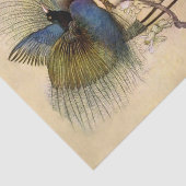 Papier Mousseline "Le plus bel oiseau" de Warwick Goble (Détail)