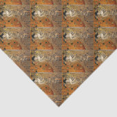 Papier Mousseline Le portrait d'Adele Bloch-Bauer par Klimt (Détail)