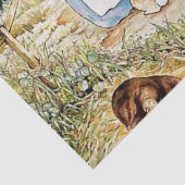 Papier Mousseline Le quartier de Peter Rabbit par Beatrix Potter (Détail)