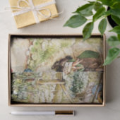 Papier Mousseline Le quartier de Peter Rabbit par Beatrix Potter (Cadeau)