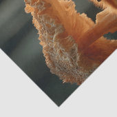 Papier Mousseline Le Renard Rouge Dort Sous Le Champion Géant (Détail)