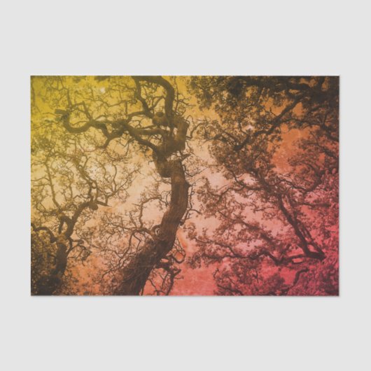 Papier Mousseline Le rose rougissent des arbres (Recto)