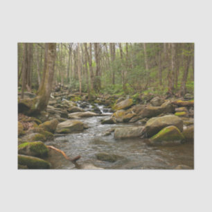 Papier Mousseline Le ruisseau Le Conte dans les montagnes Great Smok
