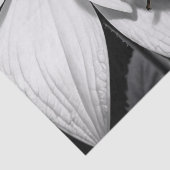 Papier Mousseline Le scarabée jaune sur la fleur blanche noire (Détail)