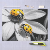 Papier Mousseline Le scarabée jaune sur la fleur blanche noire (Artisanat)