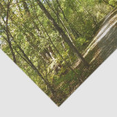 Papier Mousseline Le sentier du lac Kittamaquandi à Columbia Marylan (Détail)