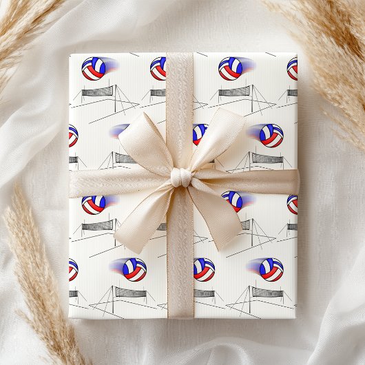 Papier Mousseline Le Volley-ball Survole Le Net