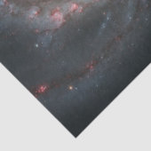 Papier Mousseline Le Whirlpool Galaxy M51 & Companion dans l'espace (Détail)