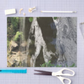 Papier Mousseline L'eau et arbres (Artisanat)