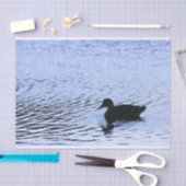 Papier Mousseline L'eau solitaire de lac wildlife de canard ondule (Artisanat)