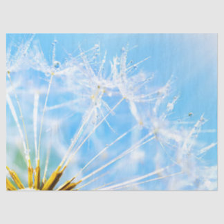 Papier Mousseline Lecteur de fleurs | Belle Fleur de Dandelion