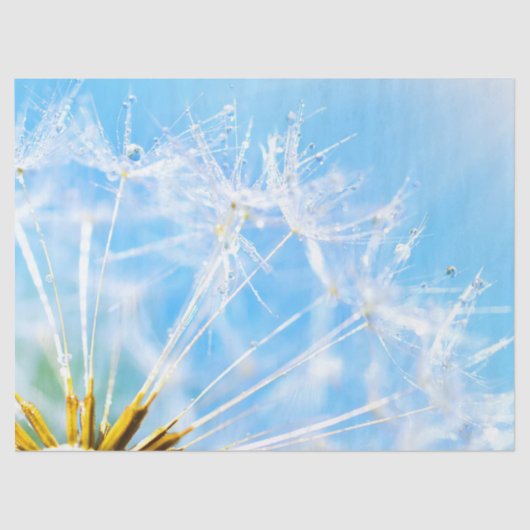Papier Mousseline Lecteur de fleurs | Belle Fleur de Dandelion (Recto)