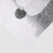 Papier Mousseline L'Élégant Art Photo En Noir Et Blanc D'Angel (Détail)