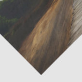 Papier Mousseline L'éléphant (Détail)