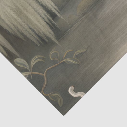 Papier Mousseline Les aigrettes en pleine nature (Détail)