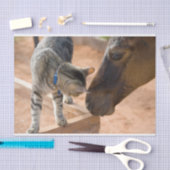 Papier Mousseline Les amis du chat et du cheval (Artisanat)