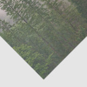 Papier Mousseline Les arbres de la forêt de Foggy (Détail)