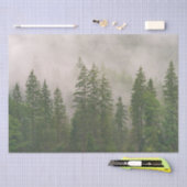 Papier Mousseline Les arbres de la forêt de Foggy (Artisanat)