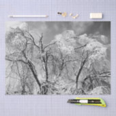 Papier Mousseline les arbres l'hiver (Artisanat)