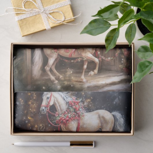 Papier Mousseline Les belles danseuses (Cadeau)