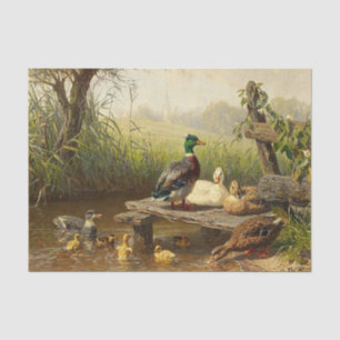 Papier Mousseline Les canards à l'étang par Carl Jutz
