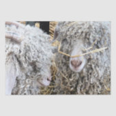 PAPIER MOUSSELINE LES CHÈTES FRAÎCHES (Recto)