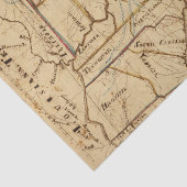 Papier Mousseline Les Etats-Unis d'Amérique 2 (Détail)