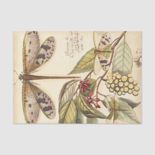 Papier Mousseline Les libellules aux Feuilles et aux fruits (Recto)