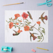 Papier Mousseline Les oiseaux Audubon de colibri fleurit le papier (Artisanat)