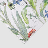 Papier Mousseline Les oiseaux Starflower de colibri fleurit le (Détail)