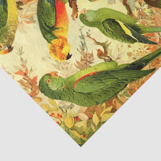 Papier Mousseline Les perroquets (Détail)
