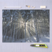 Papier Mousseline Les rayons du soleil traversent la forêt de neige  (Artisanat)
